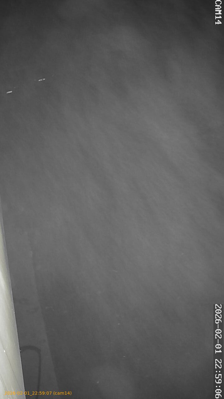 thumbnail_20260201225907