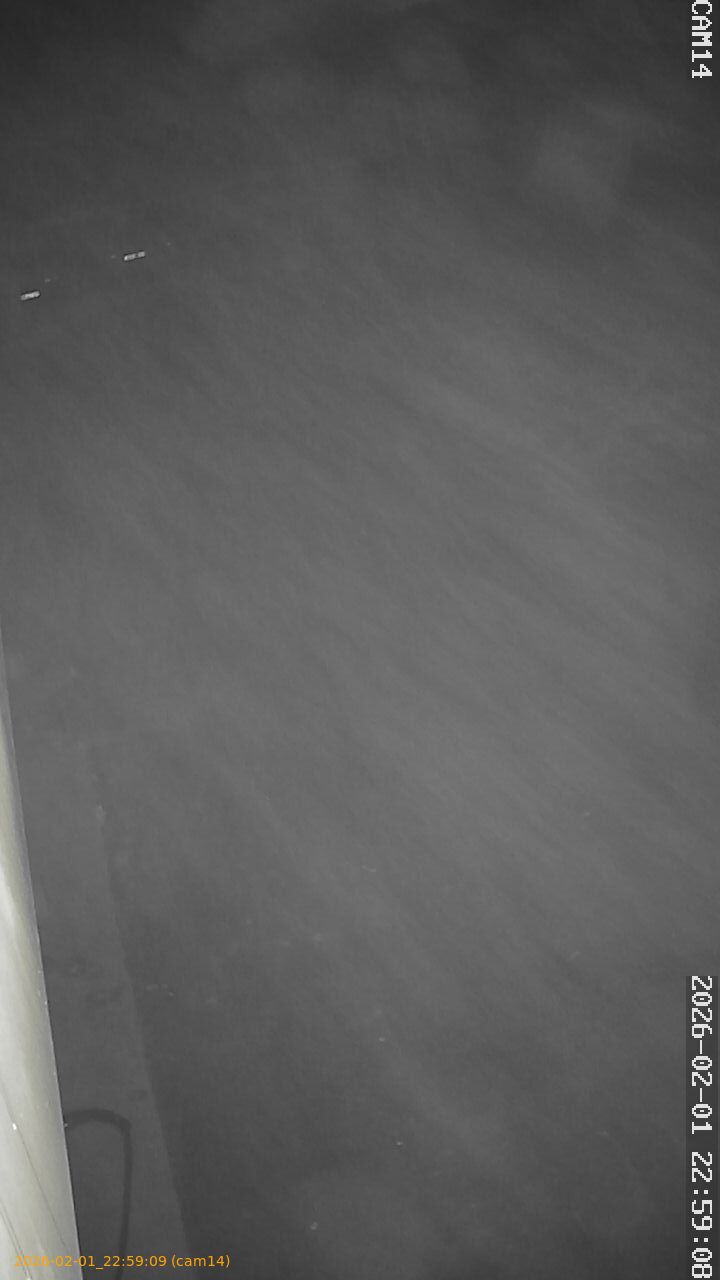 thumbnail_20260201225909