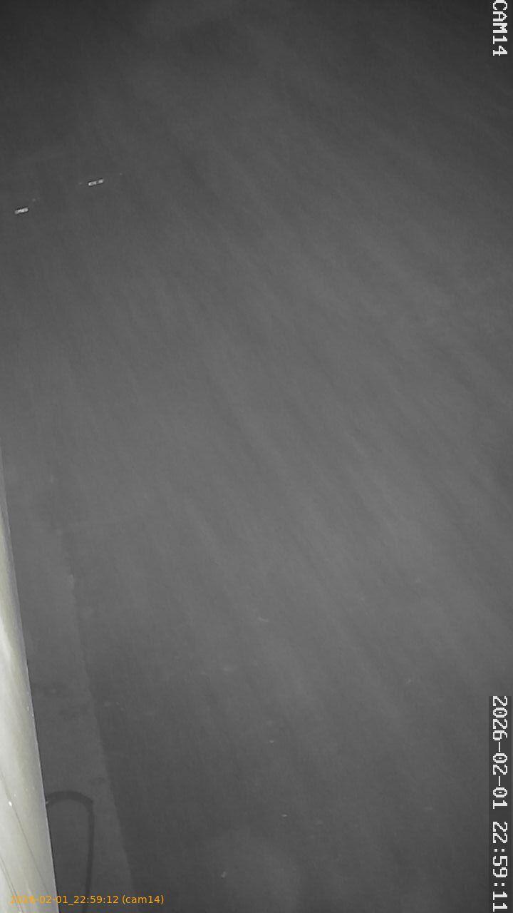 thumbnail_20260201225912