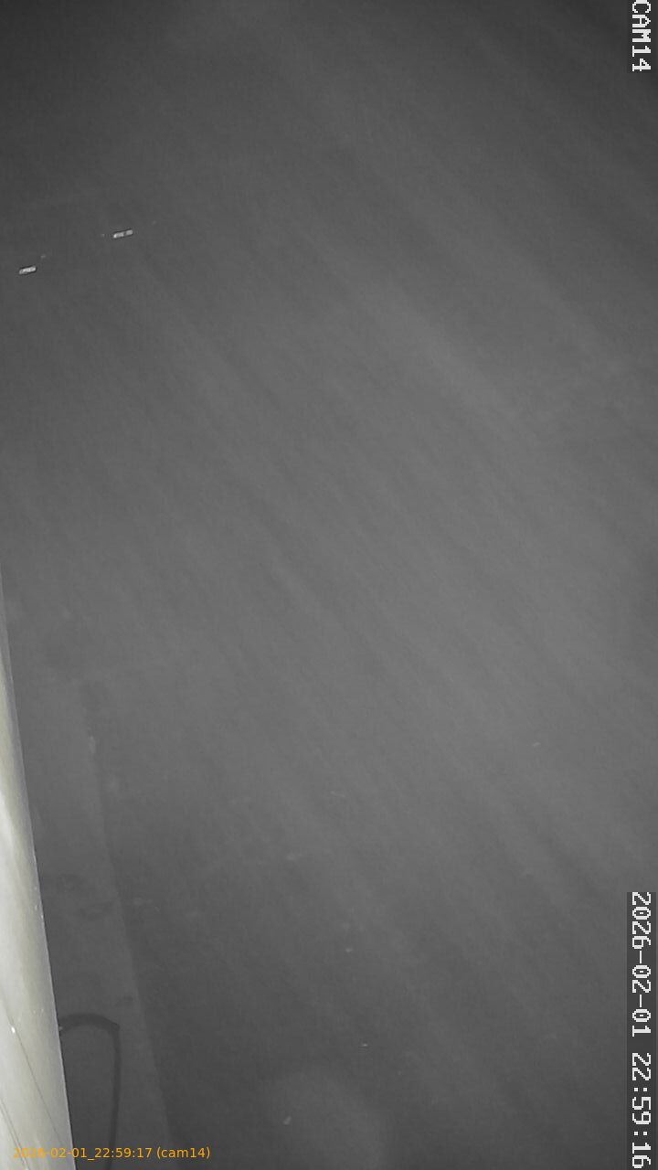 thumbnail_20260201225917