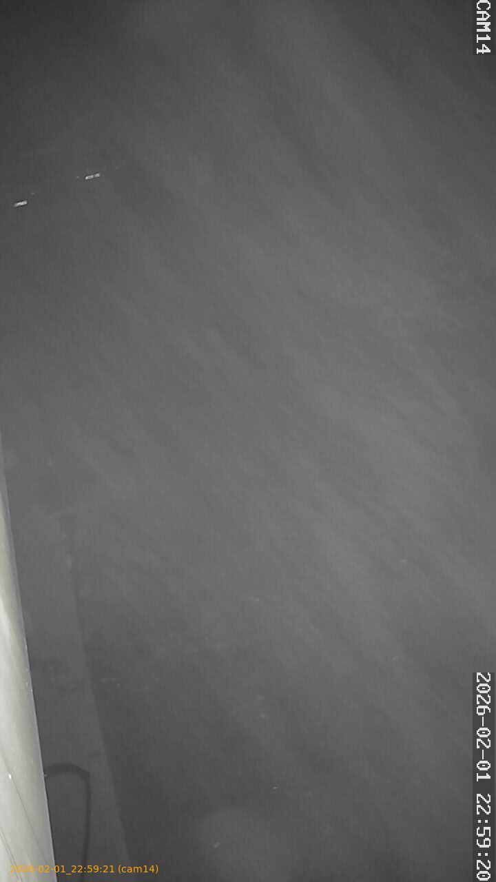 thumbnail_20260201225921