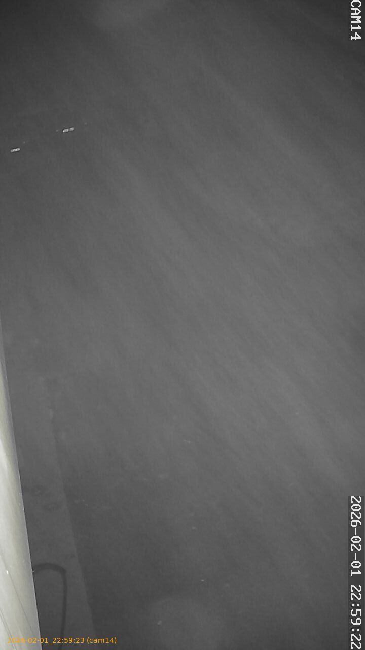 thumbnail_20260201225923