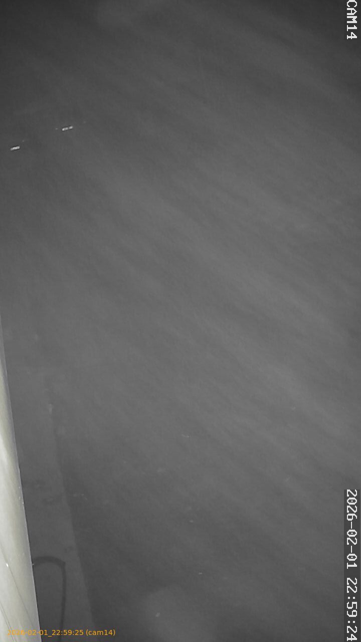 thumbnail_20260201225925