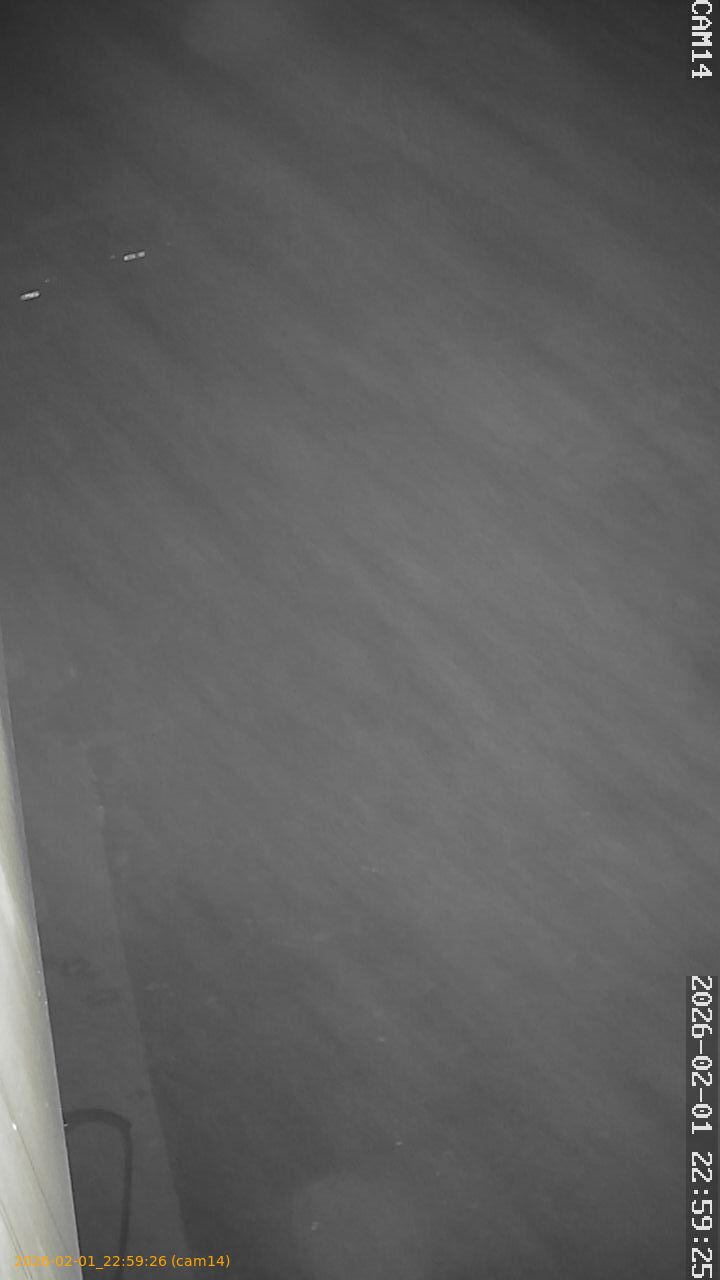 thumbnail_20260201225926