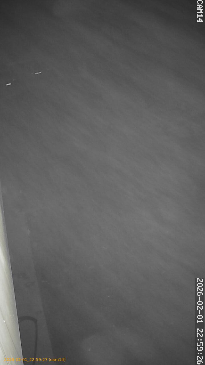 thumbnail_20260201225927