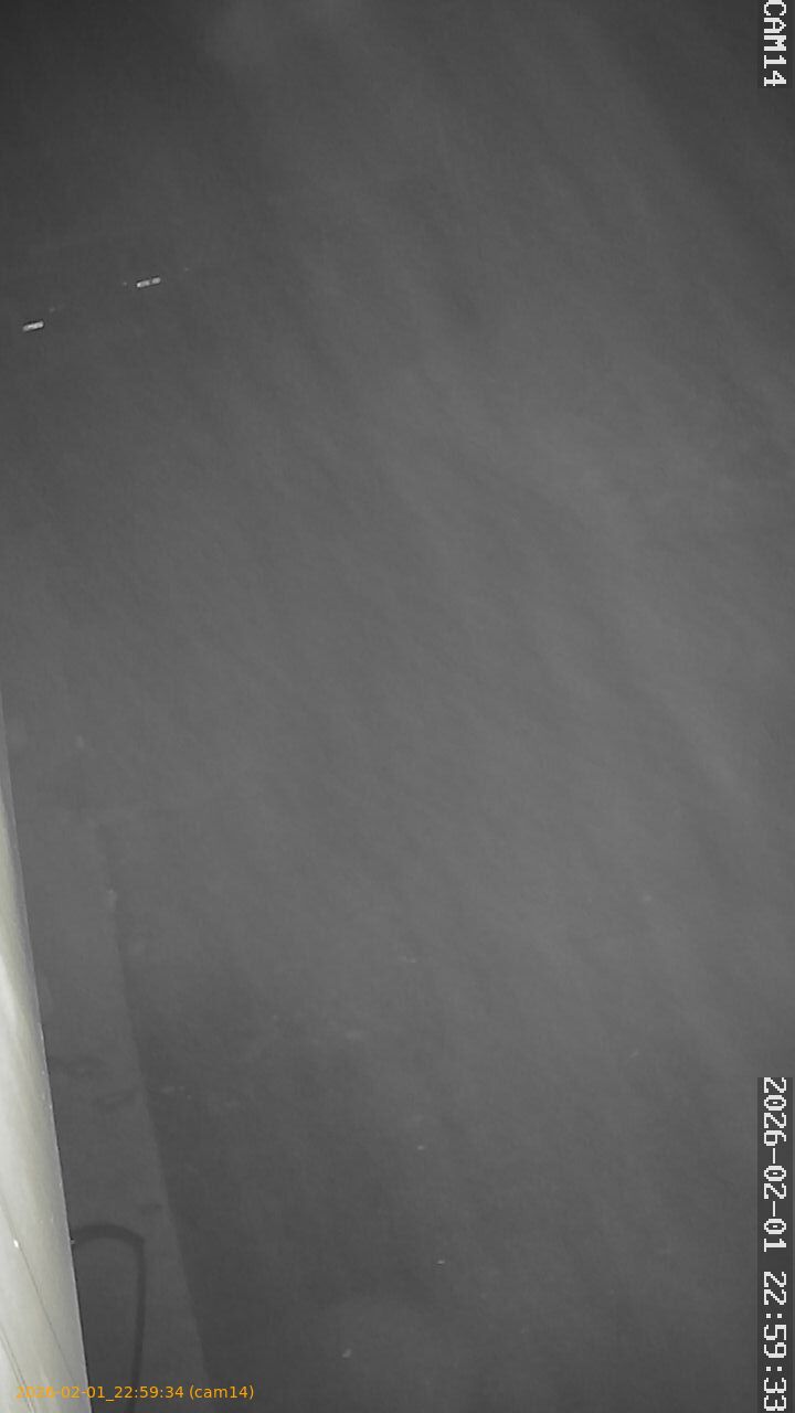 thumbnail_20260201225934