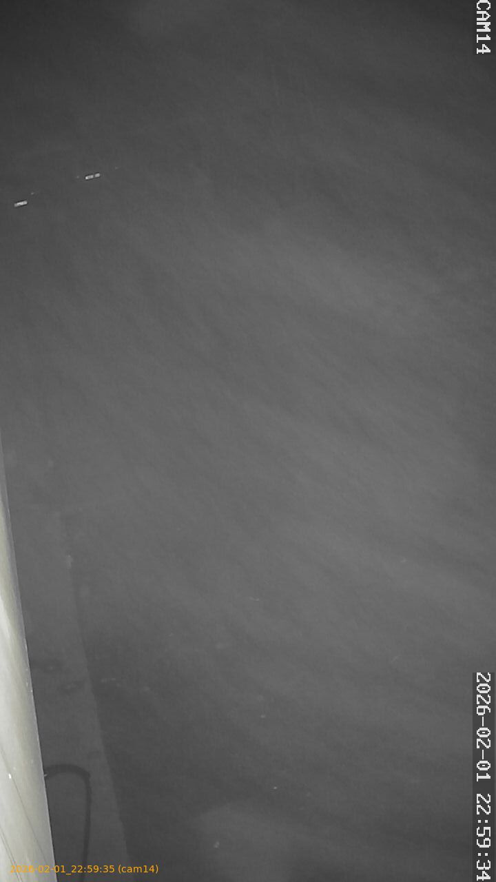 thumbnail_20260201225935