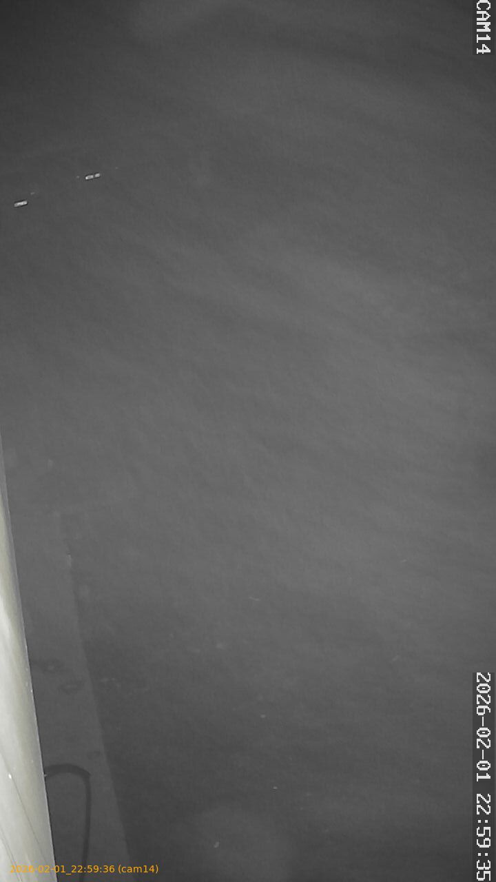 thumbnail_20260201225936