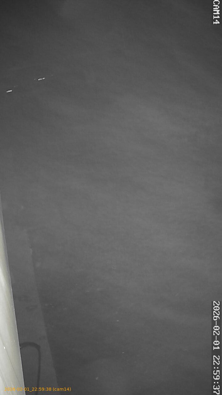 thumbnail_20260201225938