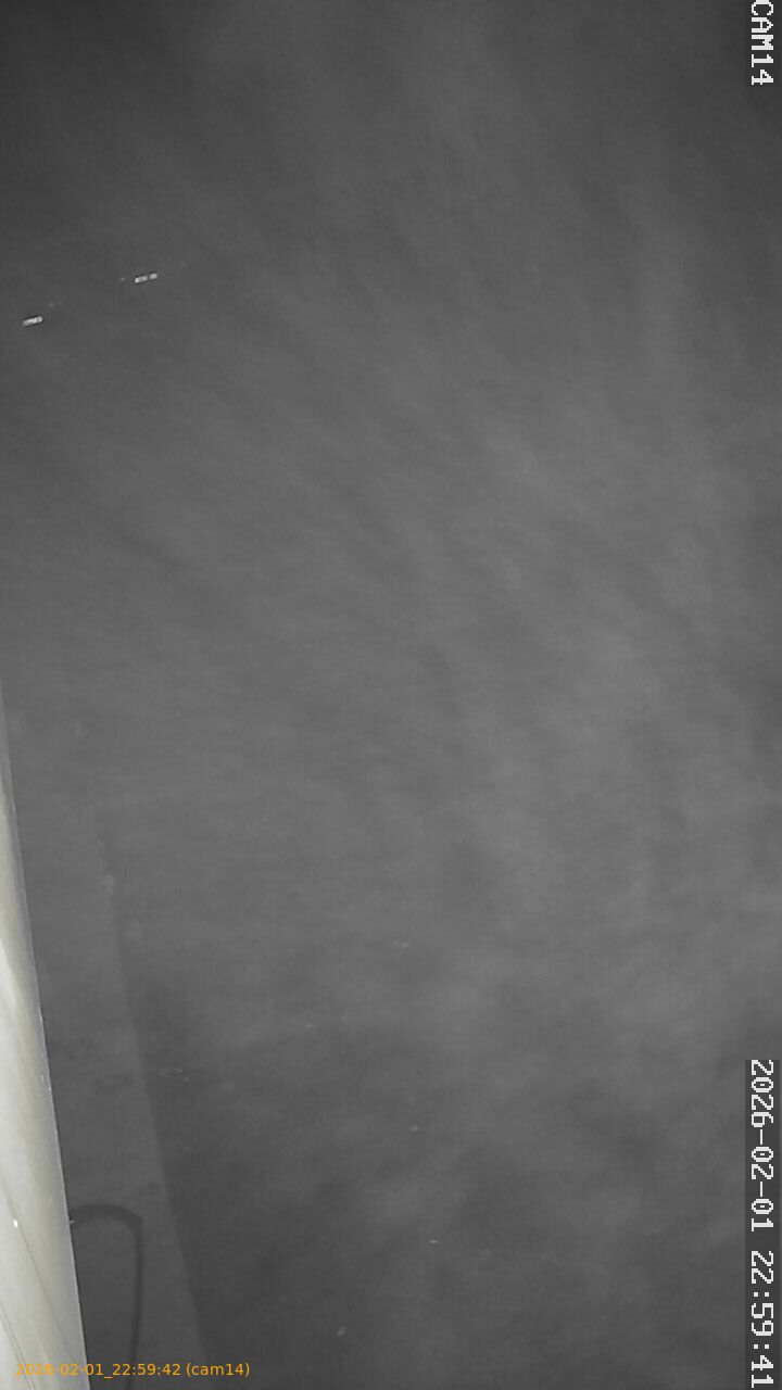 thumbnail_20260201225942