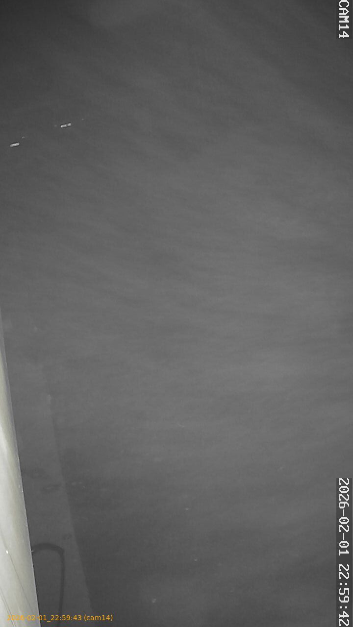 thumbnail_20260201225943