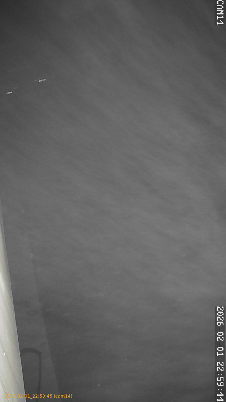 thumbnail_20260201225945