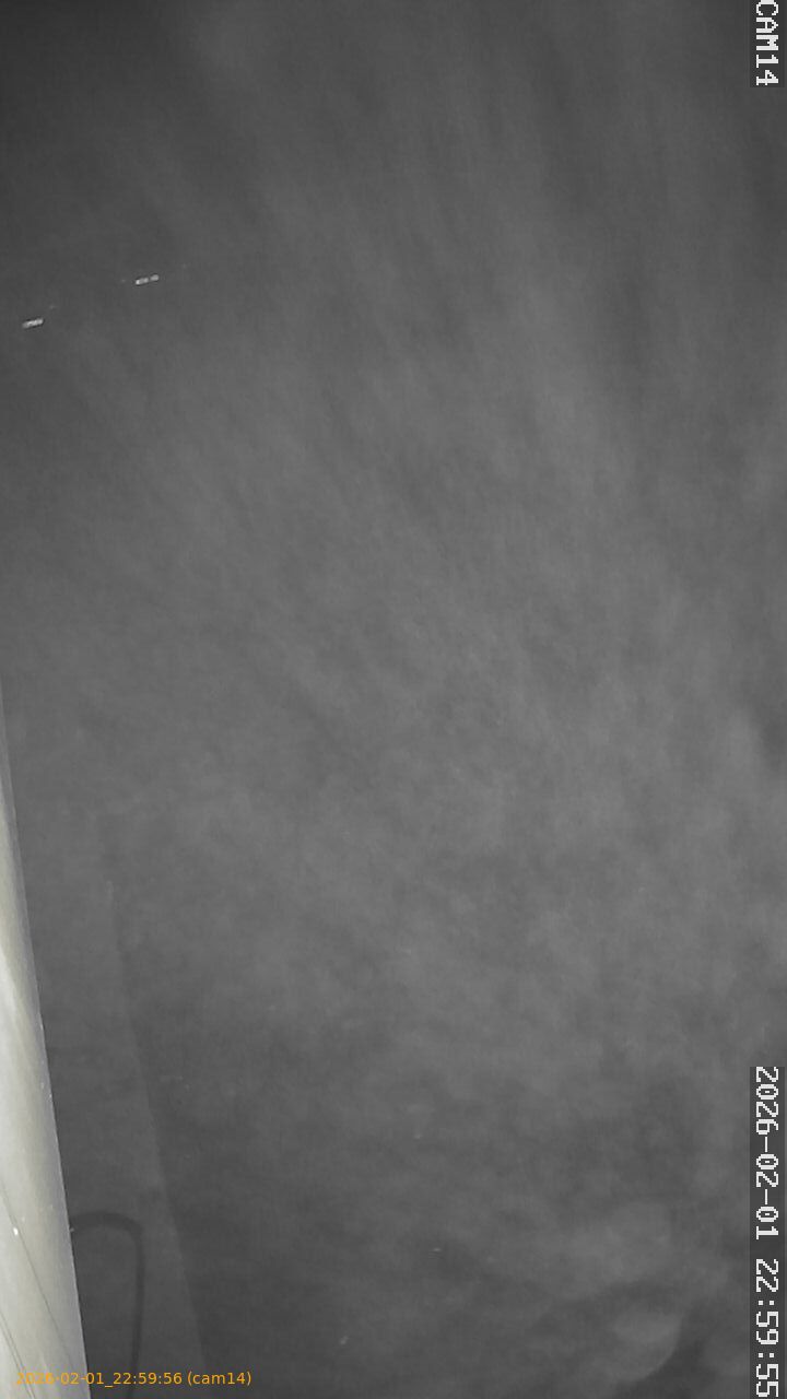 thumbnail_20260201225956