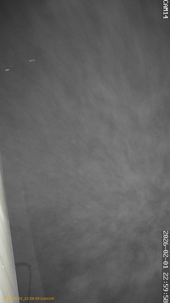 thumbnail_20260201225959