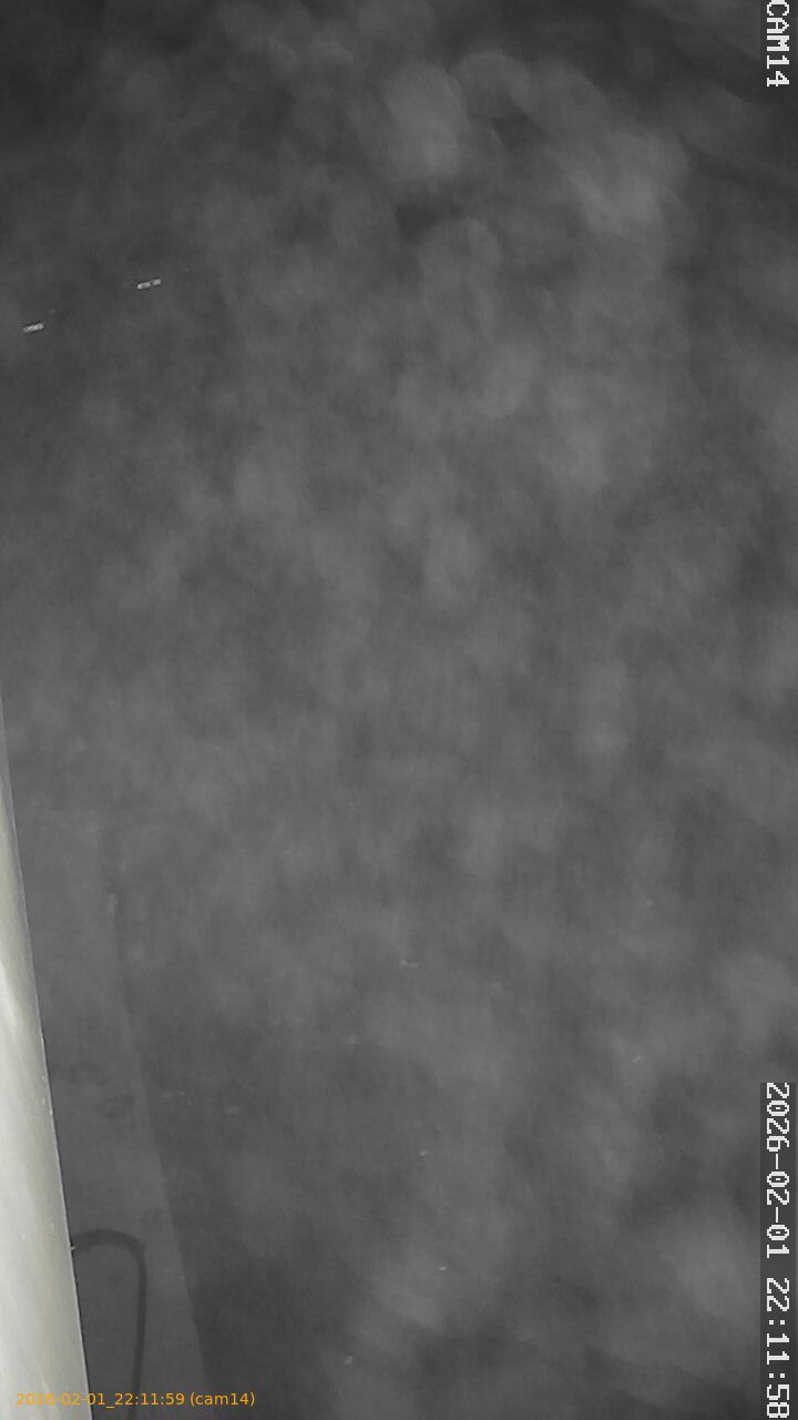 thumbnail_202602012211