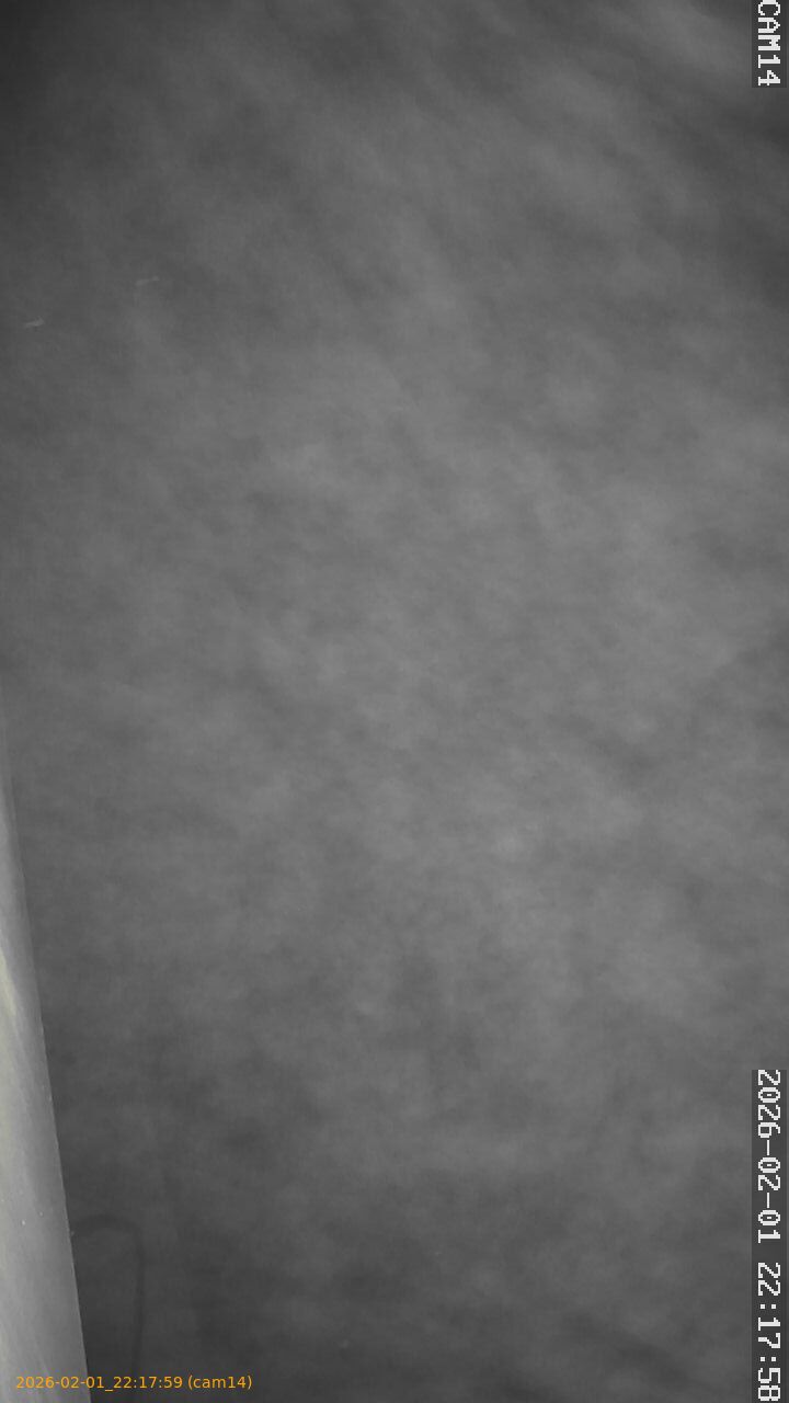 thumbnail_202602012217