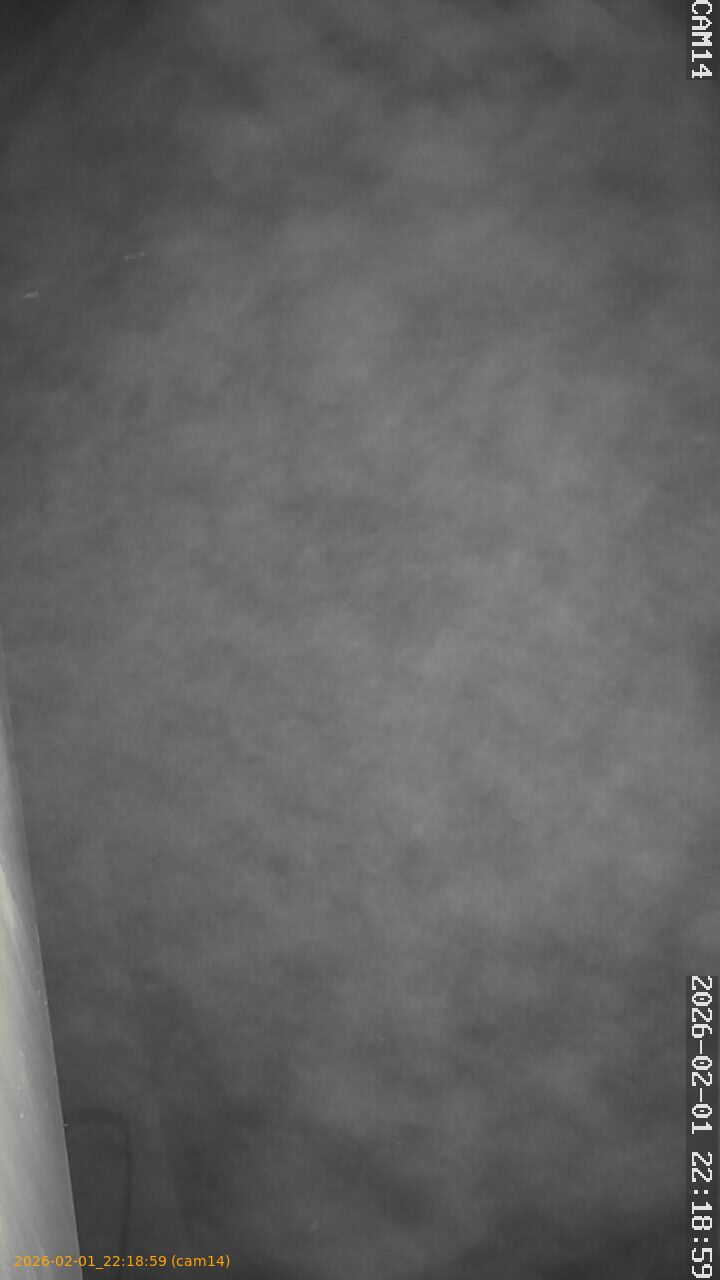 thumbnail_202602012218