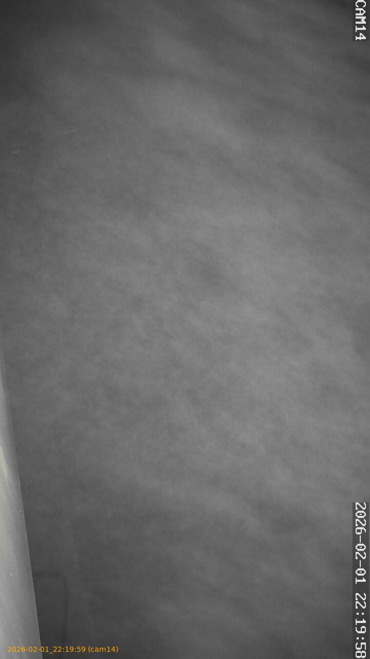 thumbnail_202602012219