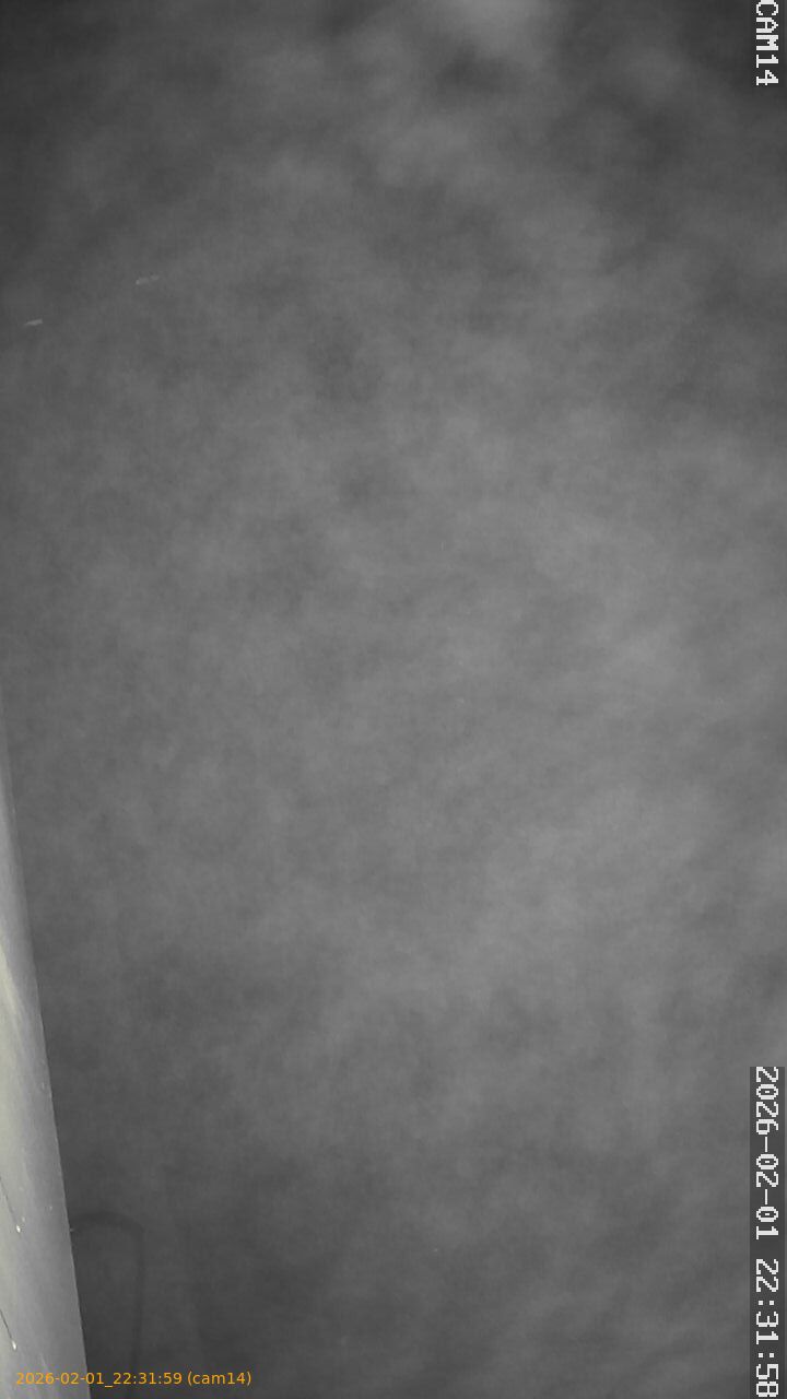 thumbnail_202602012231