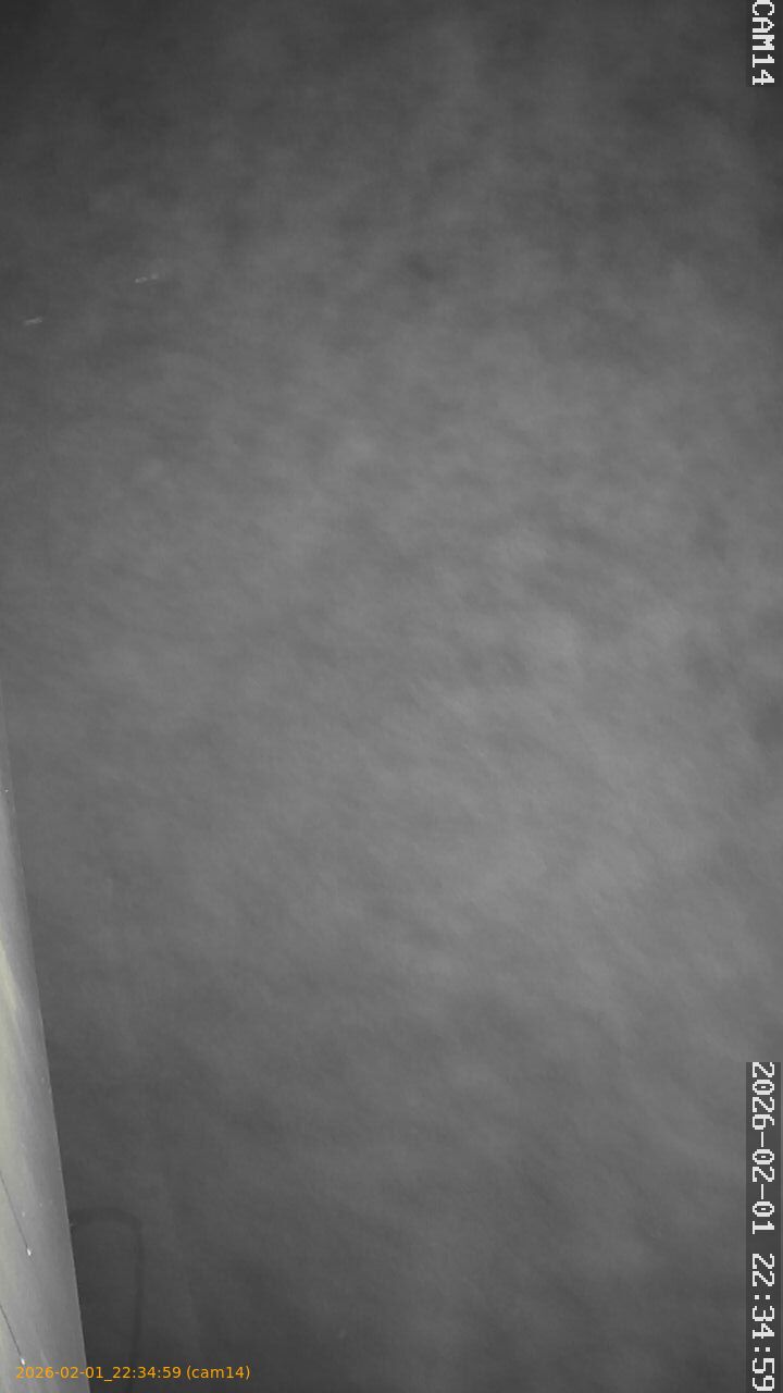 thumbnail_202602012234