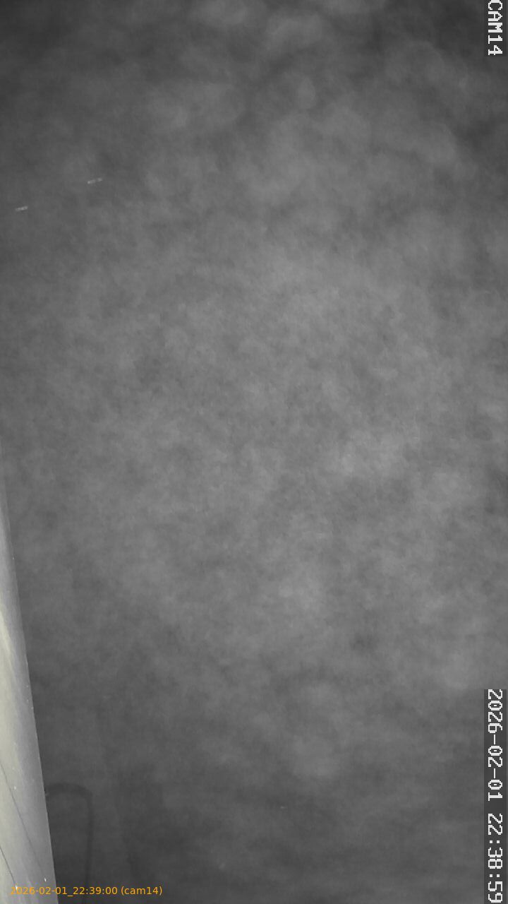 thumbnail_202602012238