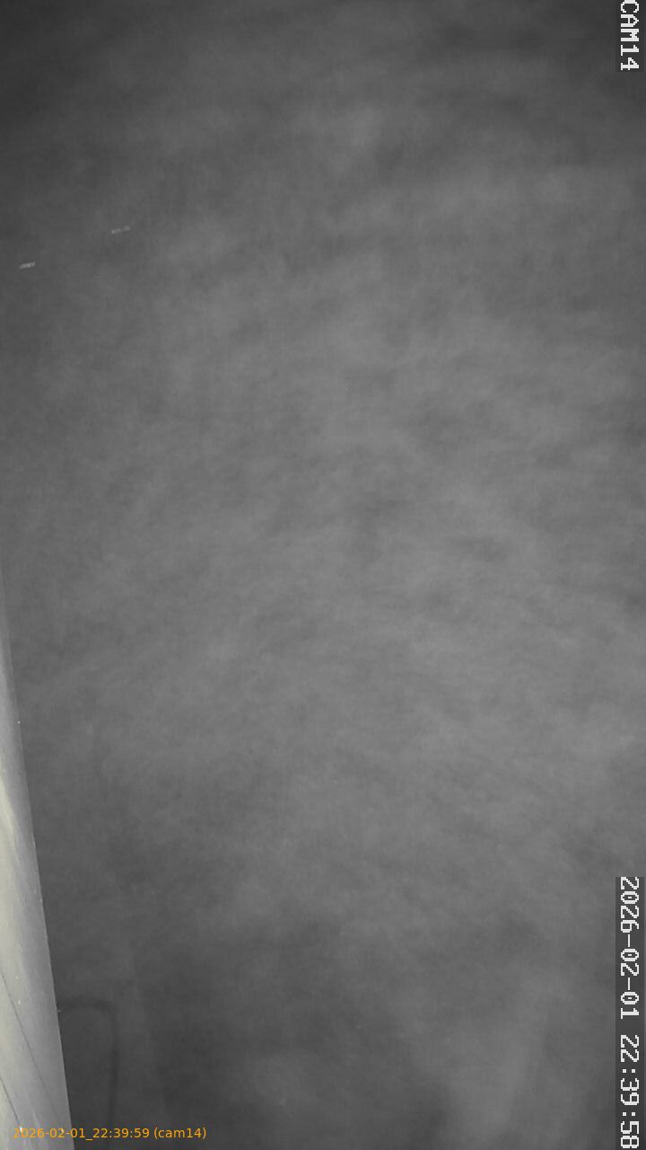 thumbnail_202602012239