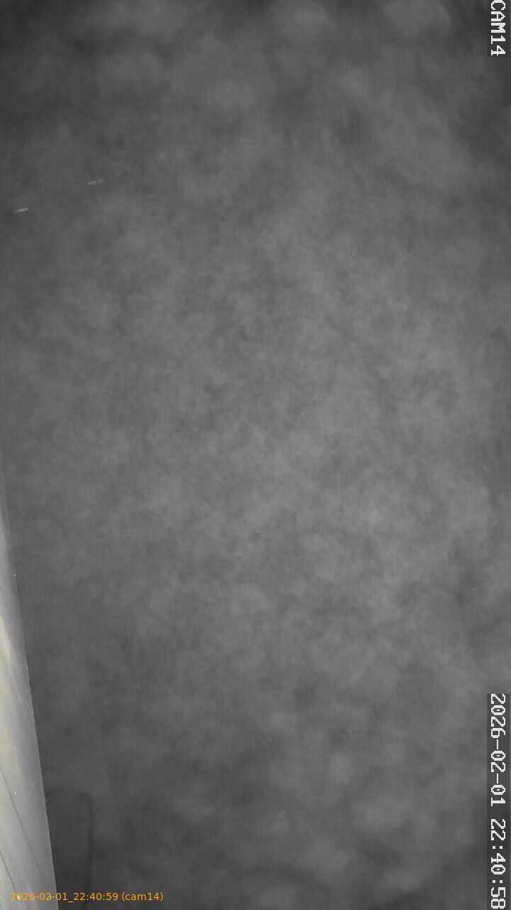 thumbnail_202602012240