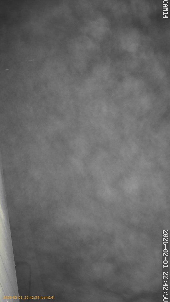 thumbnail_202602012242