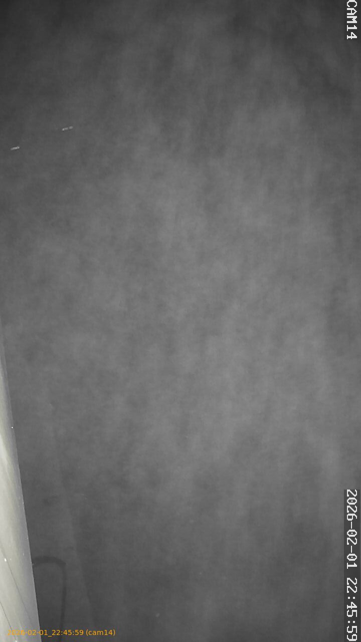 thumbnail_202602012245