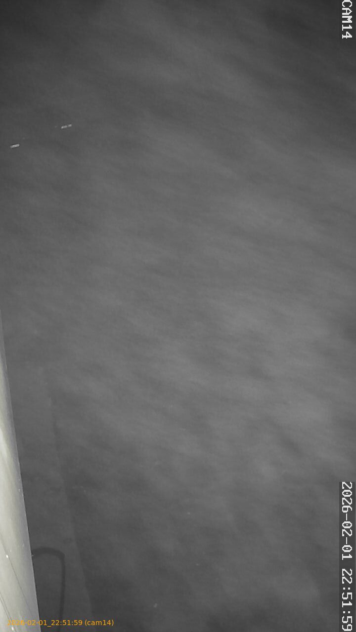 thumbnail_202602012251