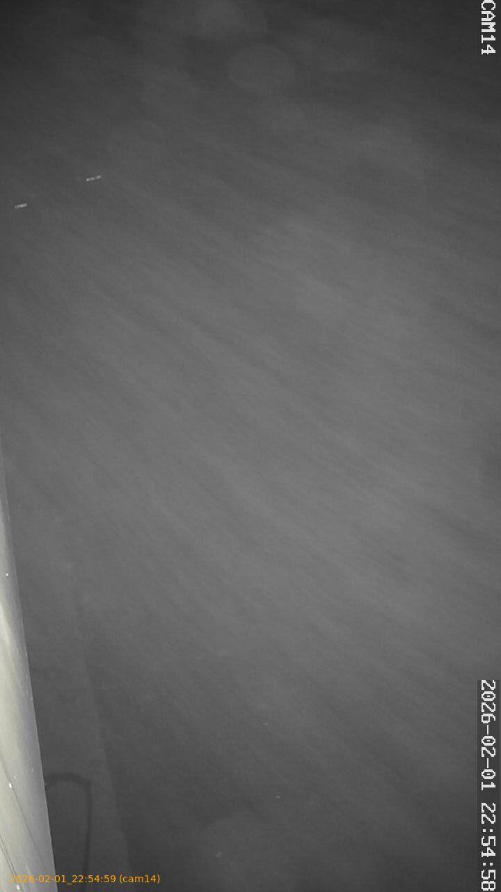 thumbnail_202602012254