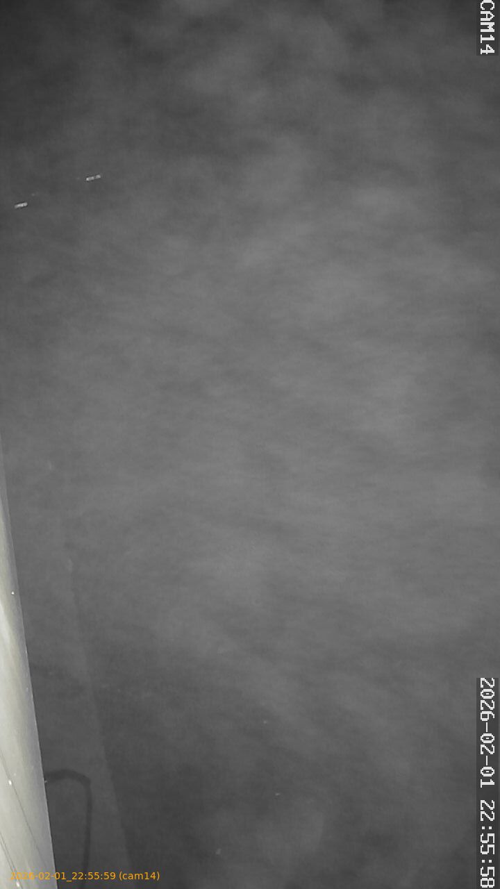 thumbnail_202602012255