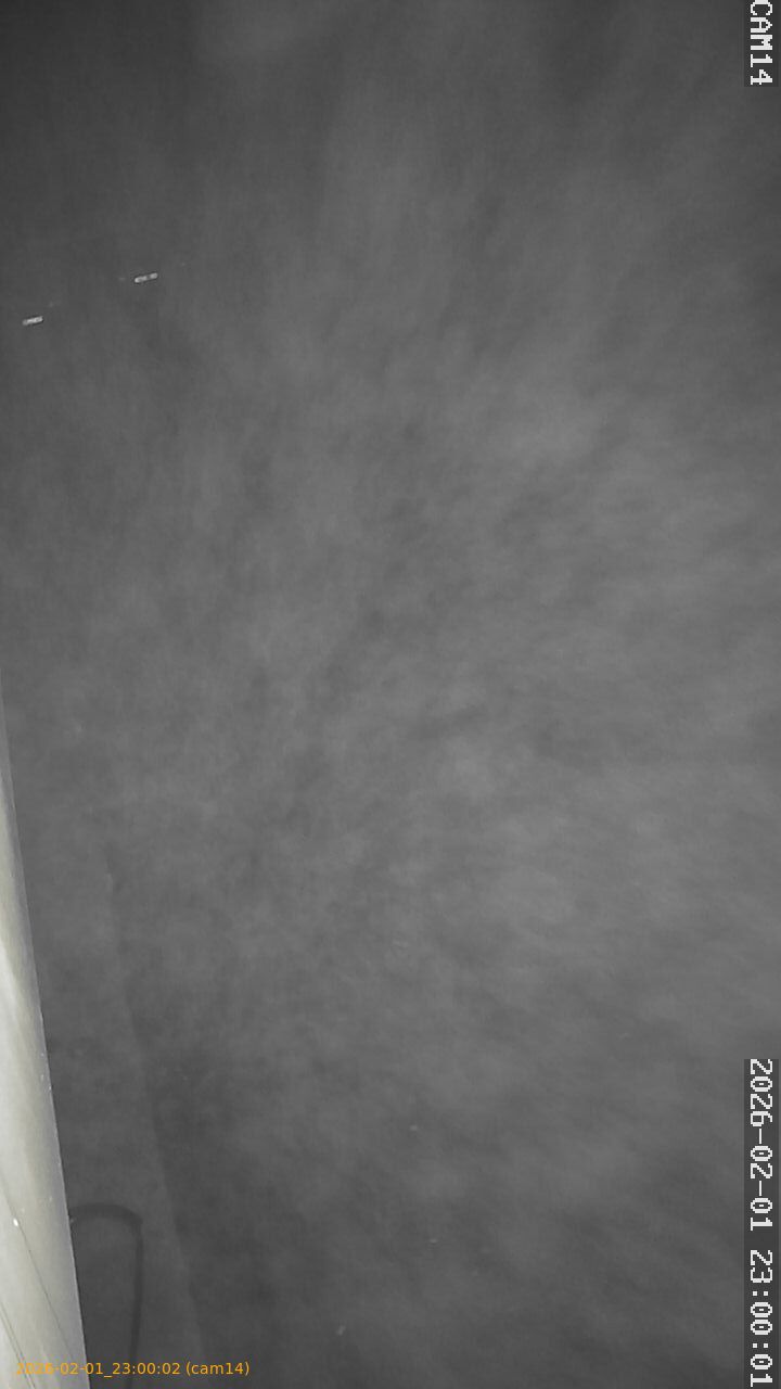 thumbnail_20260201230002