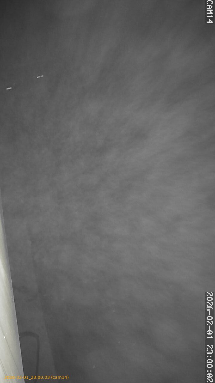 thumbnail_20260201230003