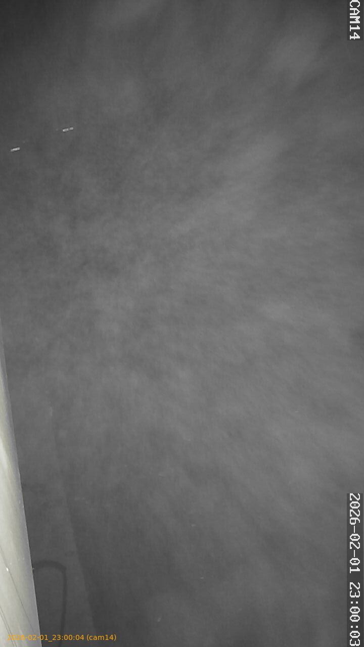 thumbnail_20260201230004