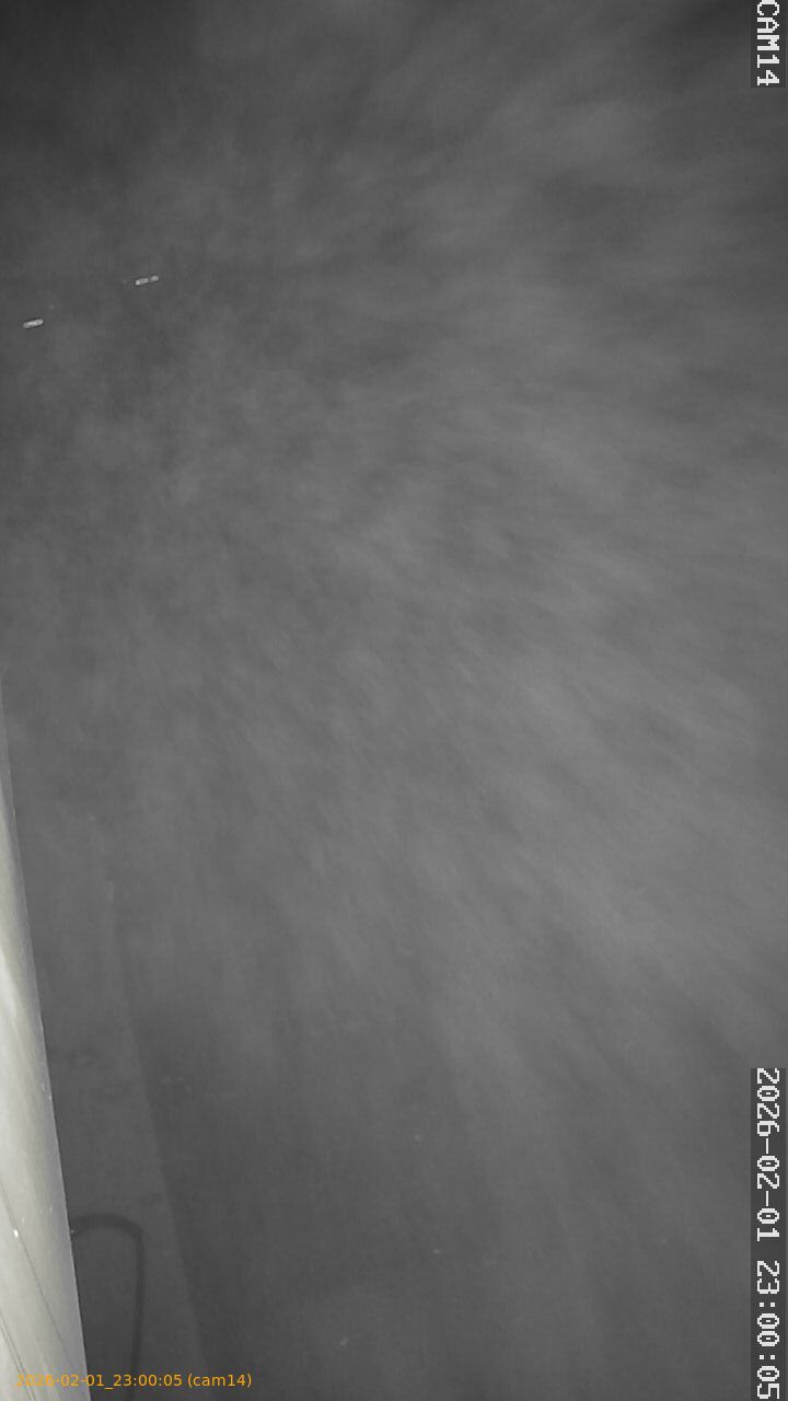 thumbnail_20260201230005