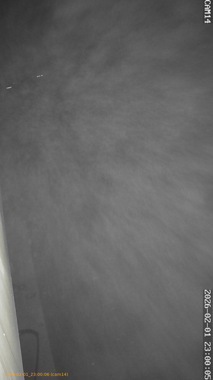 thumbnail_20260201230006