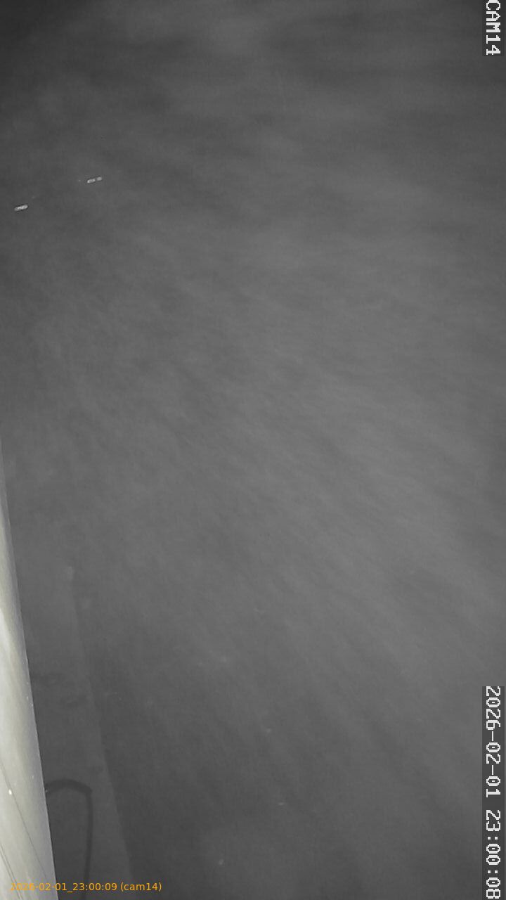 thumbnail_20260201230009