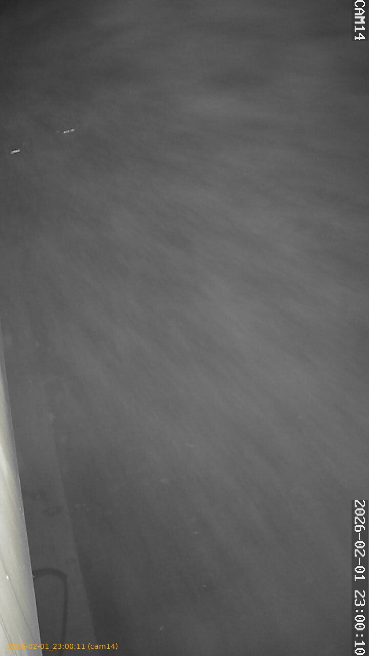 thumbnail_20260201230011