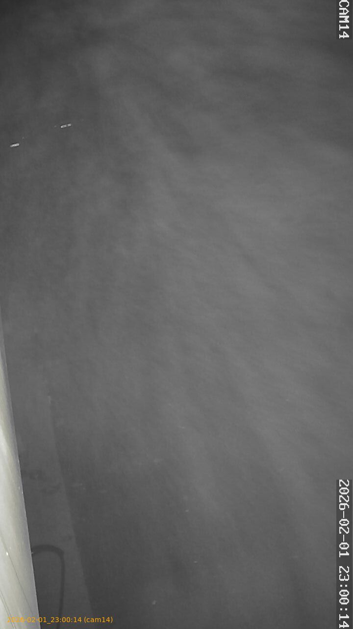 thumbnail_20260201230014