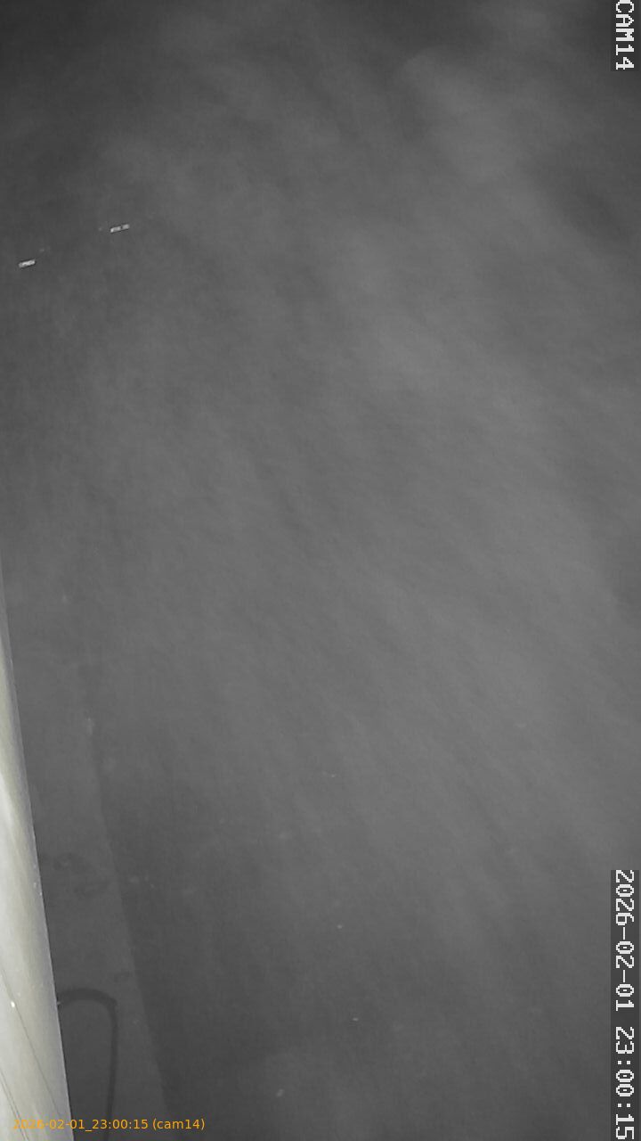 thumbnail_20260201230015