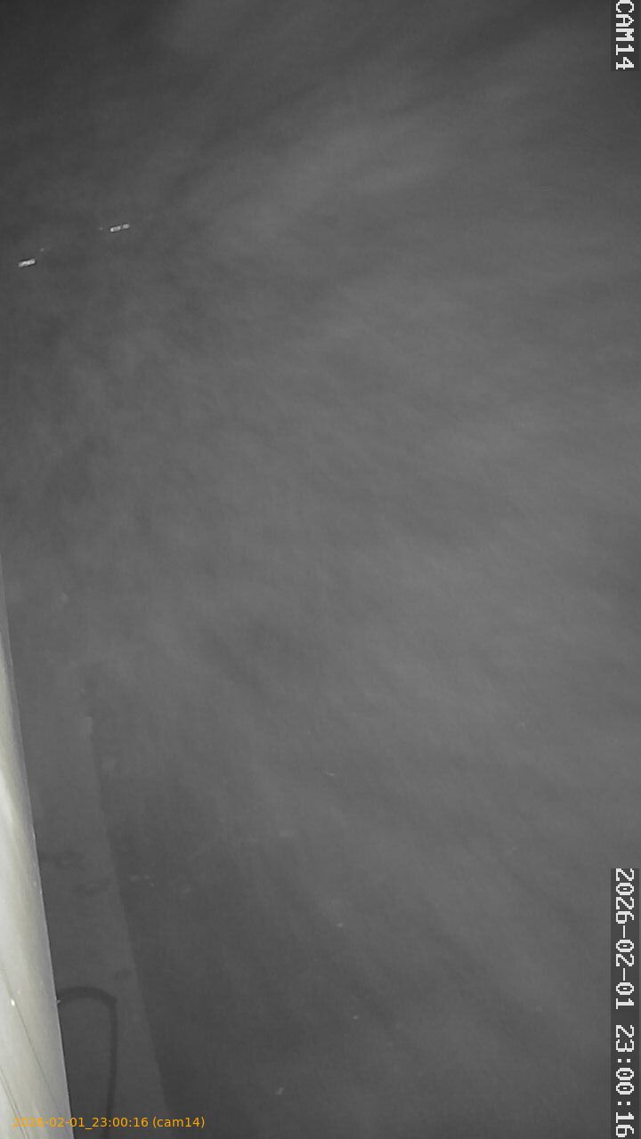 thumbnail_20260201230016