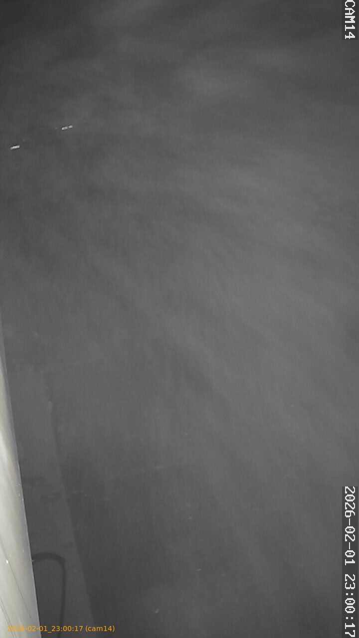 thumbnail_20260201230017