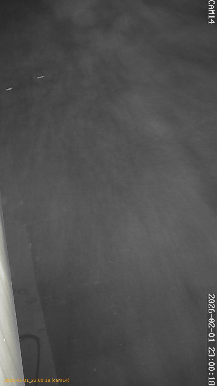 thumbnail_20260201230018