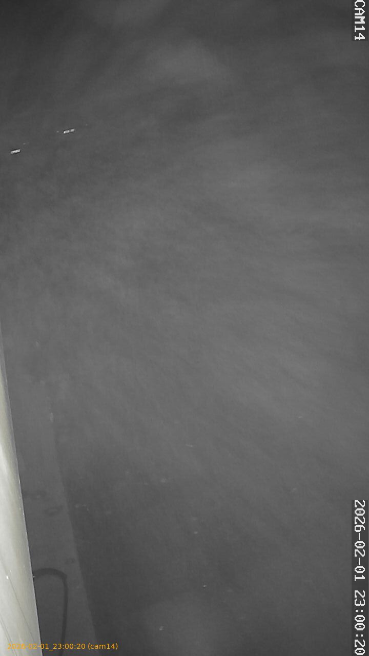 thumbnail_20260201230020