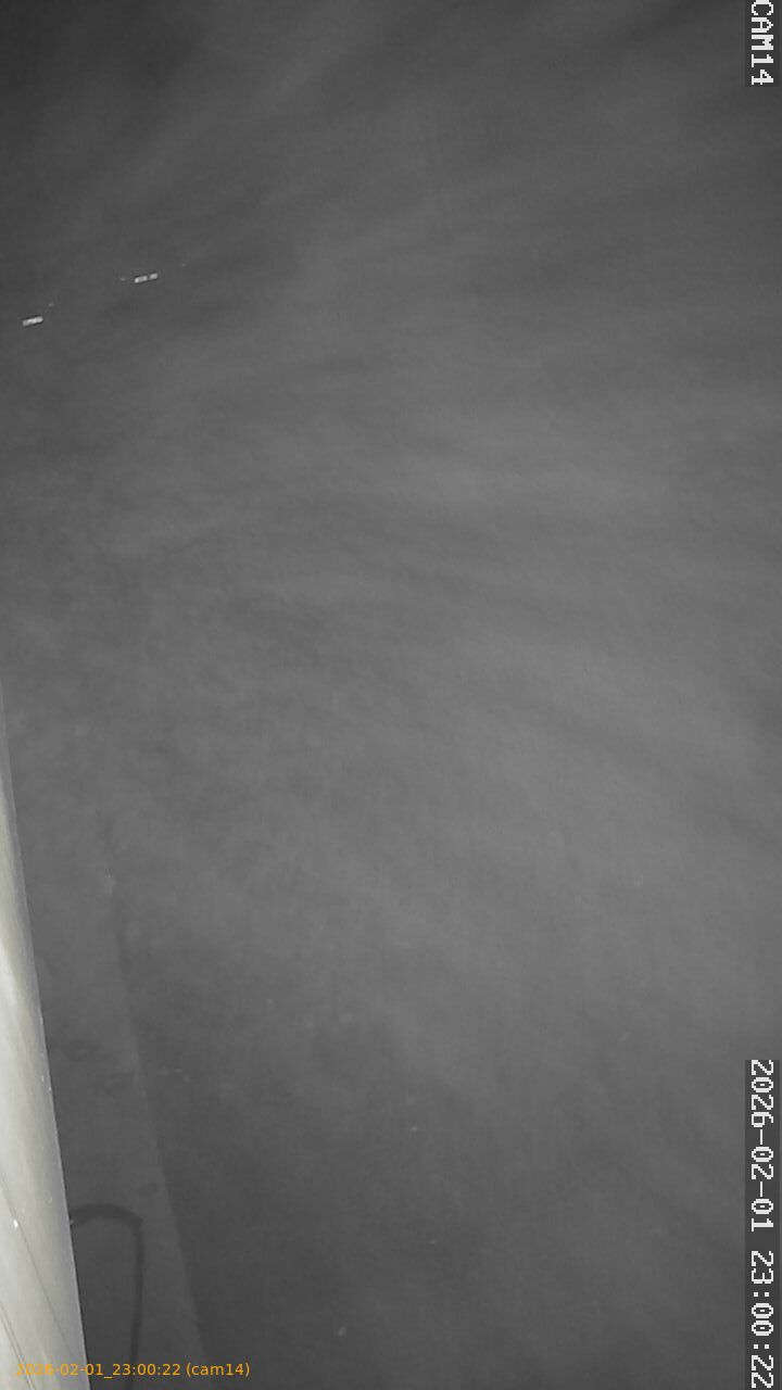 thumbnail_20260201230022