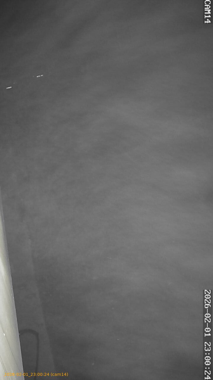 thumbnail_20260201230024