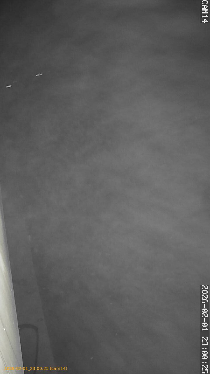 thumbnail_20260201230025