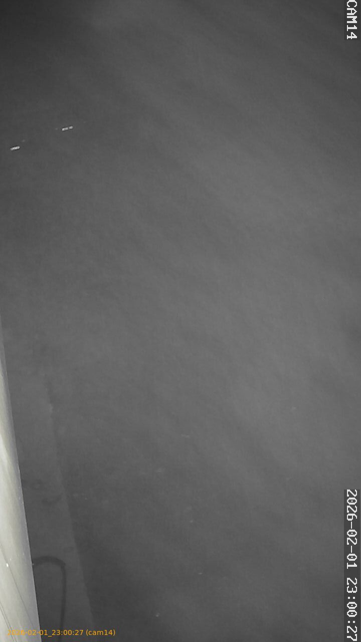 thumbnail_20260201230027