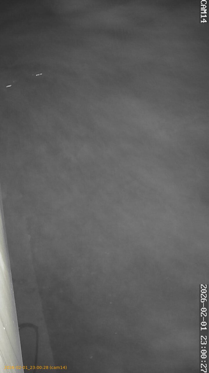 thumbnail_20260201230028